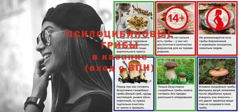 Галлюциногенные грибы прущие грибы  где можно купить   Артёмовский 